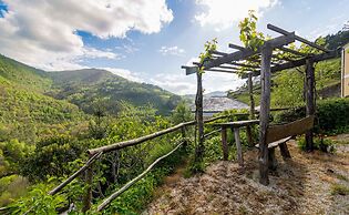 El Bosque de las Viñas