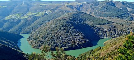 El Bosque de las Viñas