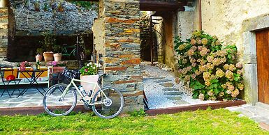 El Bosque de las Viñas