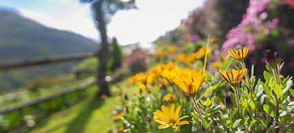 El Bosque de las Viñas