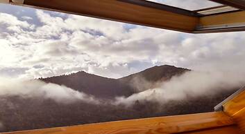 El Bosque de las Viñas