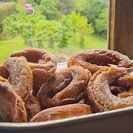 El Bosque de las Viñas