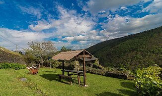 El Bosque de las Viñas