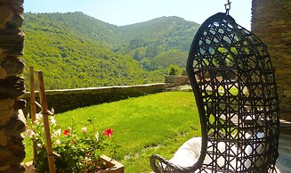 El Bosque de las Viñas