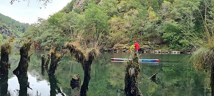 El Bosque de las Viñas