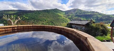 El Bosque de las Viñas