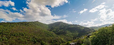 El Bosque de las Viñas