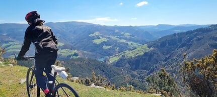 El Bosque de las Viñas