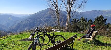 El Bosque de las Viñas