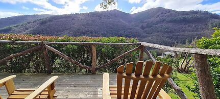 El Bosque de las Viñas