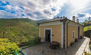 El Bosque de las Viñas