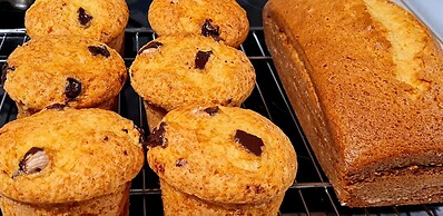 El Bosque de las Viñas