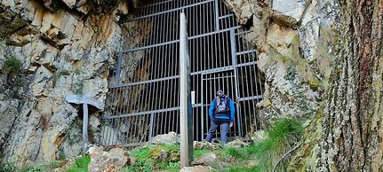 El Bosque de las Viñas