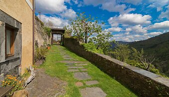 El Bosque de las Viñas