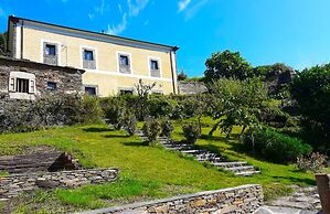 El Bosque de las Viñas