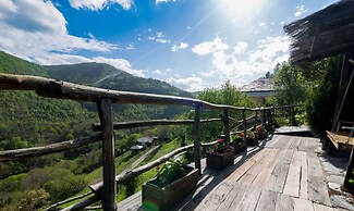 El Bosque de las Viñas