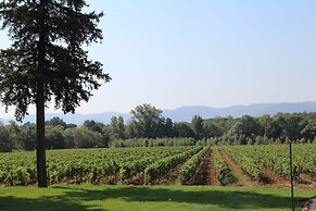 Château Saint-Roux Le Luc- Le Cannet des Maures