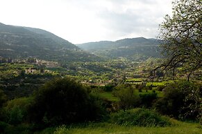 The Old Olive Mill