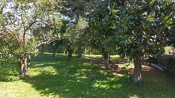 Lemon Rooms Sorrento