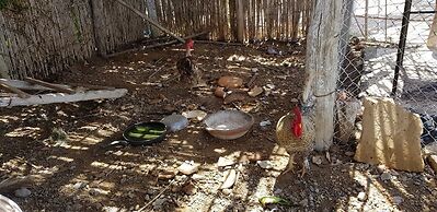 Yasmine Maamoura Beach