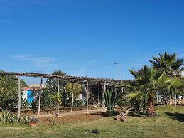 Yasmine Maamoura Beach