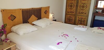 Yasmine Maamoura Beach