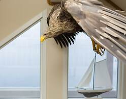 Tjeldsundbrua Maritime