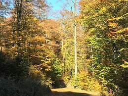 Pension Haus Waldfrieden