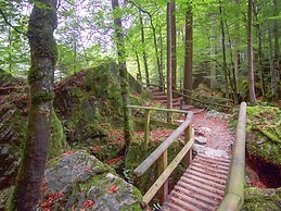 Hotel Blausee