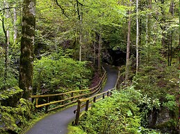 Hotel Blausee