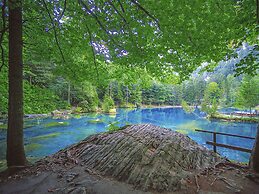 Hotel Blausee