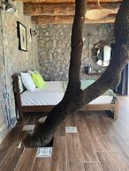 Assos Longevity Hotel