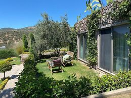 Assos Longevity Hotel