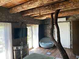 Assos Longevity Hotel