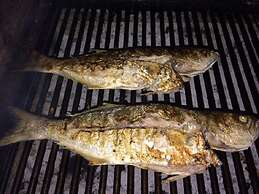 Assos Bahcivan Motel