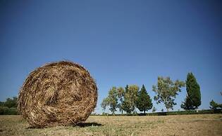 La Tavernola Agriturismo - Tenuta Mandia