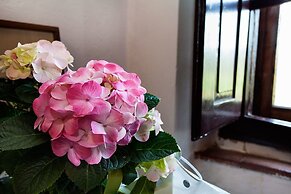 Podere Terreno alla Via della Volpaia