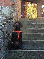 Podere Terreno alla Via della Volpaia