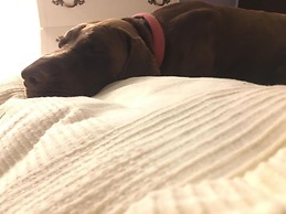 Podere Terreno alla Via della Volpaia