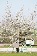 Agriturismo Cascina Papa Mora