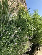 Corte Baracca B&B Suite