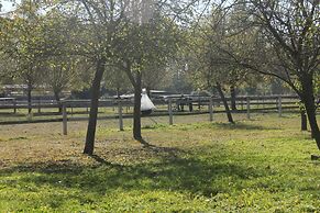 Apartments Luisenhof