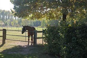 Apartments Luisenhof