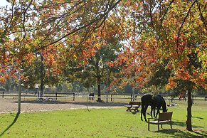 Apartments Luisenhof