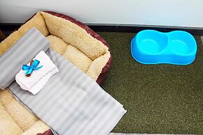 Francis B&B Superior