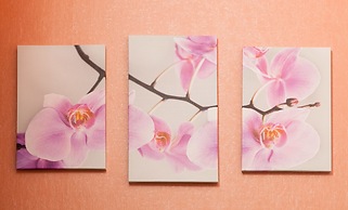 Apartments on Telezhnaya 13