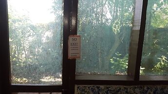 Almond Tree Guest House