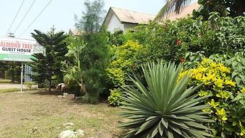 Almond Tree Guest House