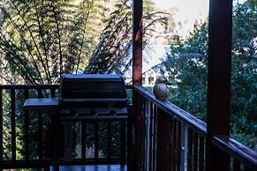 Observatory Cottages