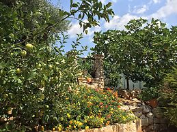 B&B All'Ombra degli Ulivi